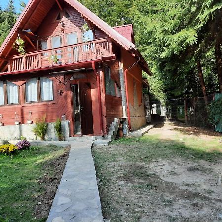 Casuta Paterau Cheia, Prahova Villa Cheia  Bagian luar foto