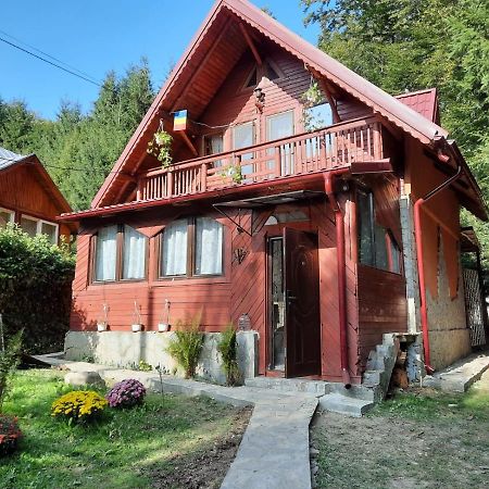 Casuta Paterau Cheia, Prahova Villa Cheia  Bagian luar foto