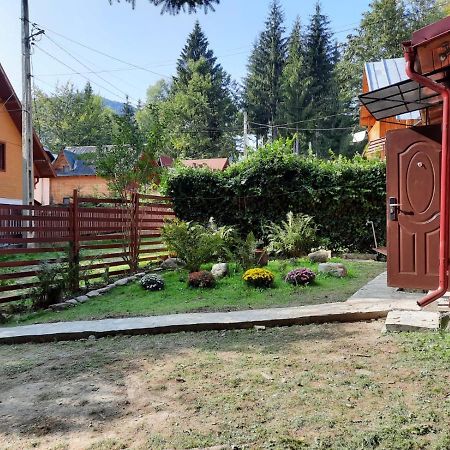 Casuta Paterau Cheia, Prahova Villa Cheia  Bagian luar foto