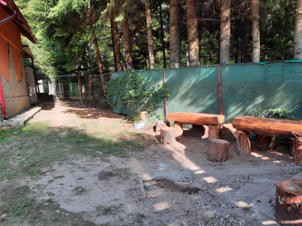 Casuta Paterau Cheia, Prahova Villa Cheia  Bagian luar foto